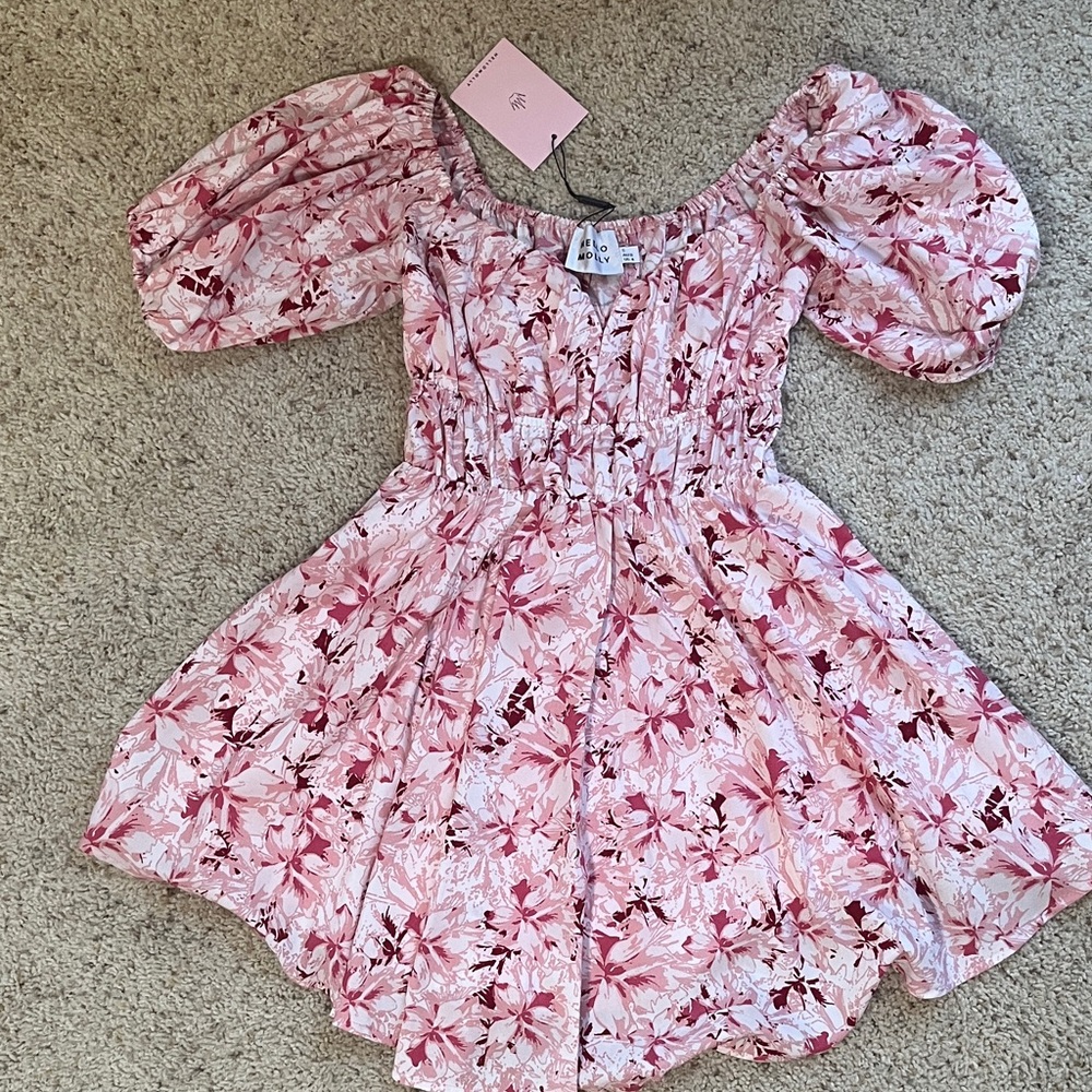 Hello Molly Floral Pink Dress